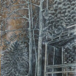 Québec réserve papineau labelle chalet Durocher dessin détaillé Maude Tapin artiste technique mixte vacance repos tranquilité