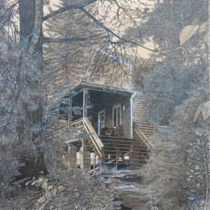 Québec dessin détaillé Maude Tapin artiste technique mixte vacance repos tranquilité réserve faunique papineau labelle nature chalet durocher