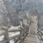 Québec dessin détaillé Maude Tapin artiste technique mixte vacance repos tranquilité nature parc canada Charlevoix