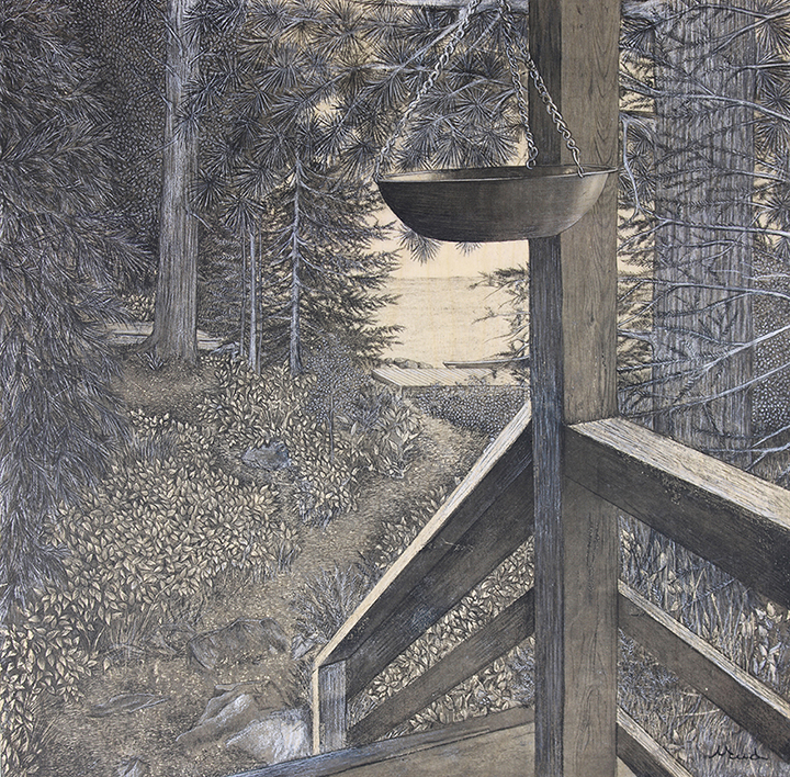 Québec dessin détaillé Maude Tapin artiste technique mixte vacance repos tranquilité nature chalet durocher réserve faunique Papineau- Labelle