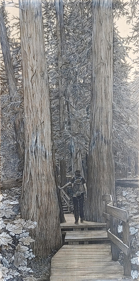Québec dessin détaillé Maude Tapin artiste technique mixte vacance repos tranquilité Colombie-Britannique Parc Canada cèdres géants