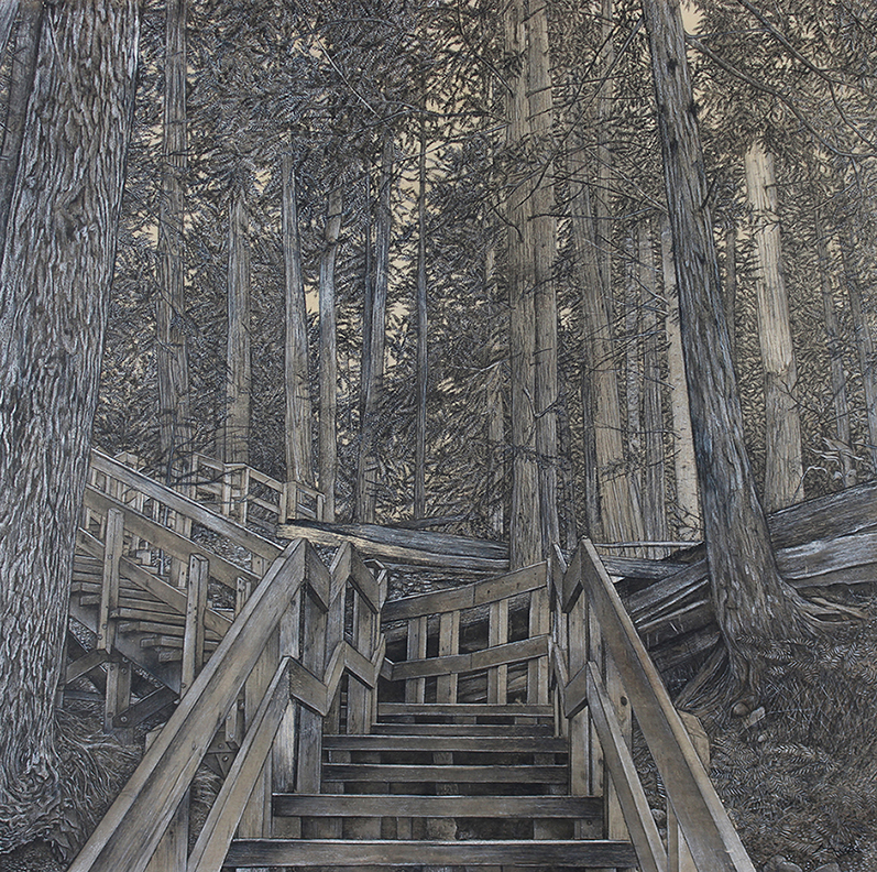Québec dessin détaillé Maude Tapin artiste technique mixte vacance repos tranquilité cèdre géants colombie-britannique
