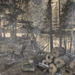 Québec dessin détaillé Maude Tapin artiste technique mixte vacance repos tranquilité chalet durocher réserve faunique papineau Labelle