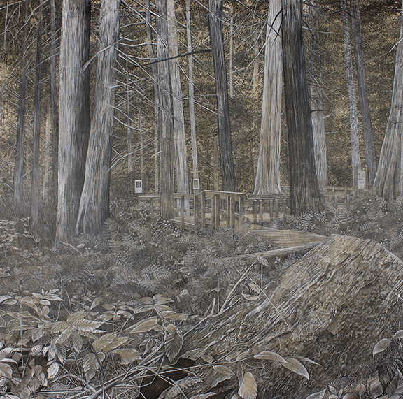 Québec dessin détaillé Maude Tapin artiste technique mixte Colombie-Britannique nature vacance cèdres géants