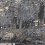 Québec dessin détaillé Maude Tapin artiste technique mixte vacance repose tranquilité chalet durocher réserve faunique papineau Labelle
