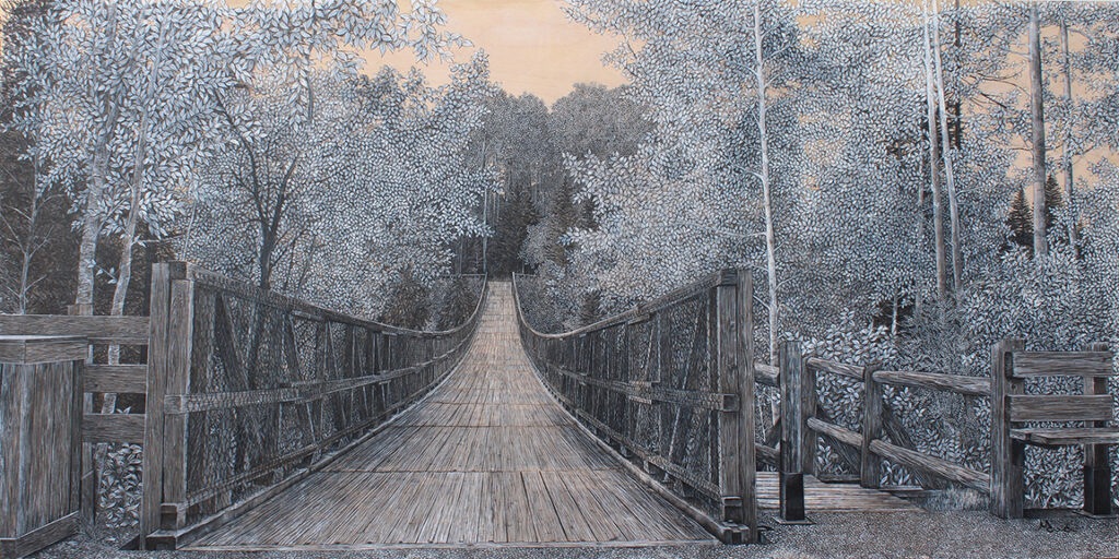 voyage équilibre mindtravel dessin détaillé Maude Tapin artiste technique mixte art charlevoix parc nature réserve Canyon des Portes de l'Enfer faunique