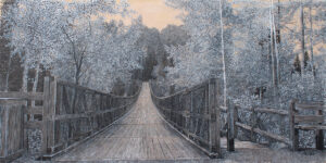 voyage équilibre mindtravel dessin détaillé Maude Tapin artiste technique mixte art charlevoix parc nature réserve Canyon des Portes de l'Enfer faunique